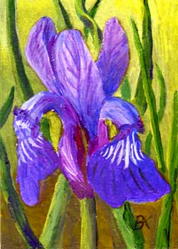"Iris" by Barbara Kelsey, Pewaukee WI - Acrylic - SOLD